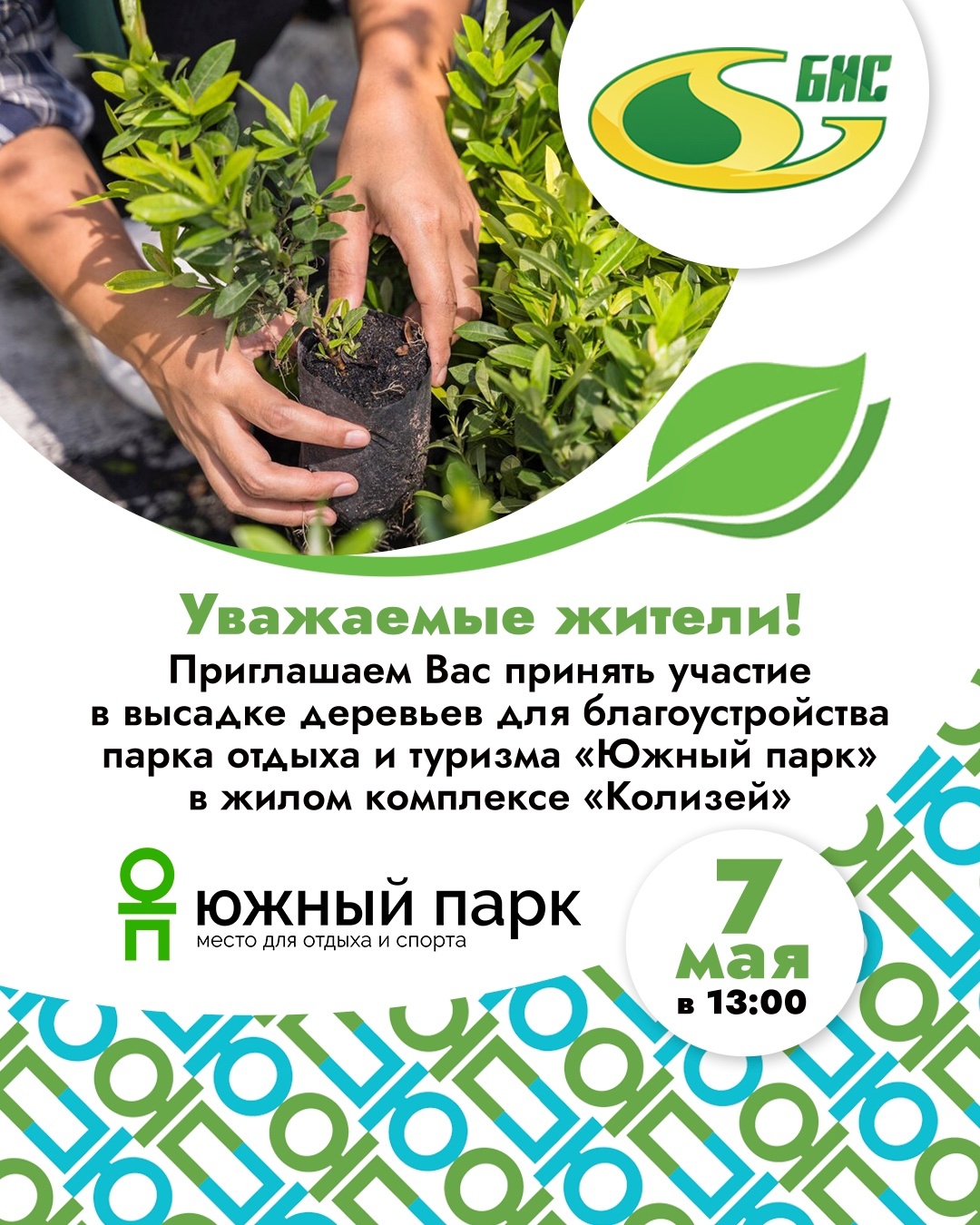 Высадка деревьев в парке!