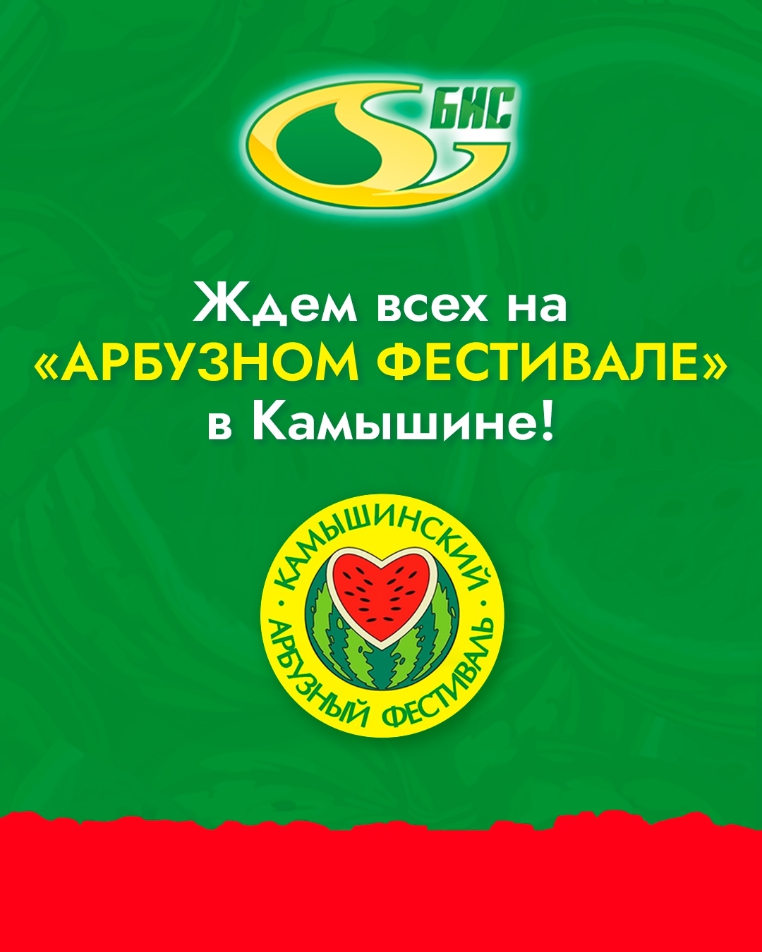 Арбузный Фестиваль в Камышине